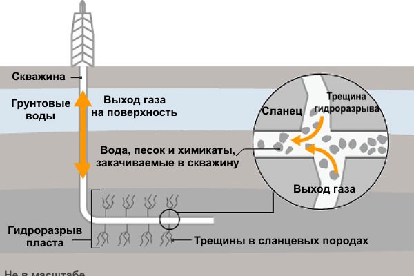 Через какой браузер можно зайти на кракен