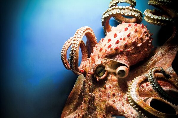 Kraken сайт вход