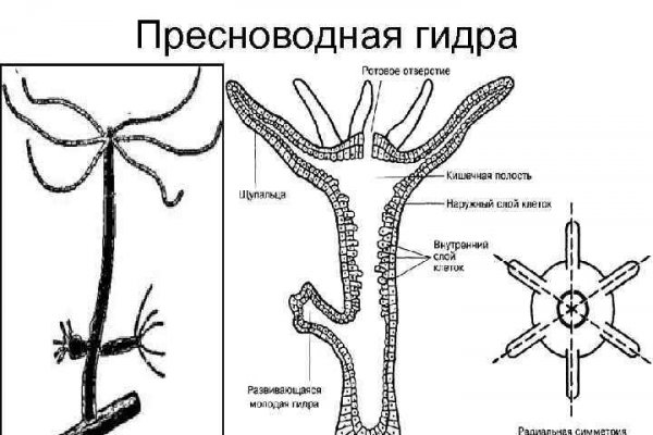 Кракен актуальная