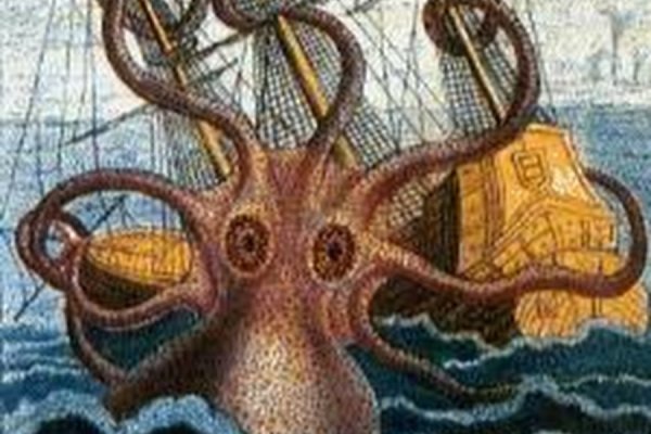 Kraken 6at