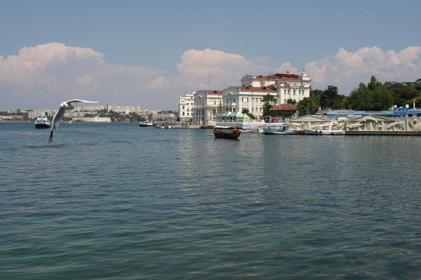 Сайт кракен через тор